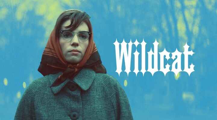 Wildcat 2024 English Movie on Movietic