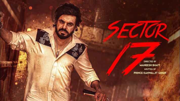 Download Sector 17 (2024) Punjabi (PreDvD) Movie on Movietic